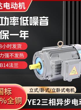 YE2-80M1-2全铜电动机B14法兰电机0.75W-315W马达电机厂家直供