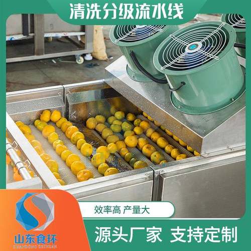 全自动果蔬重量分选机商用滚杠式新疆大枣分级机苹果橘子分级机