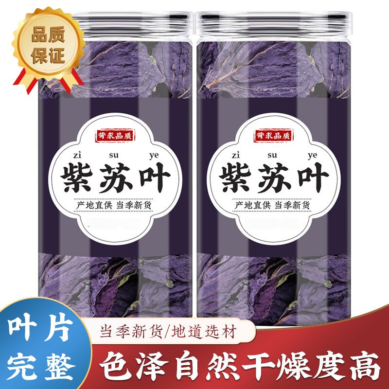 紫苏叶新鲜食用紫苏叶干中药材