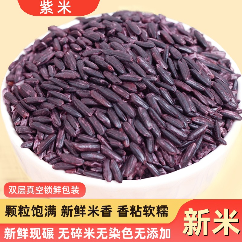 正宗墨江紫米新米云南特产配黑米紫糯米血糯米糙米饭团专用紫大米