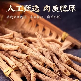 远志中药材正品远志去芯丸肉益智仁伸筋草中草药500克泡水的作用