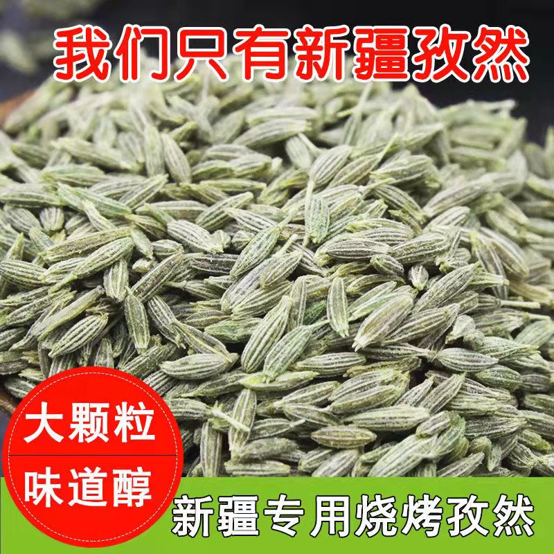 孜然粒罐装500g新疆烤肉孜然粉家用烧烤调料撒料送研磨器可打粉