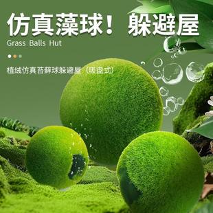 鱼小刚仿真绿藻球苔藓球鱼缸躲避屋吸盘式鹦鹉繁殖罐产卵虾鱼摆件