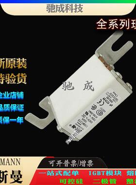 巴斯曼170M1319 170M1320 170M1321 大量现货厂价销售 伊顿熔断器