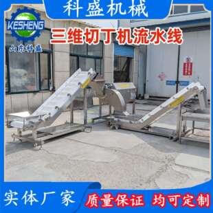 全自动切丁机 牛肉冻肉三维切丁设备 鸡胸肉宠物食品切块机