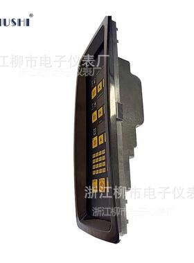 LUSI 浙江柳市电子仪表厂 LD-5107B 微电脑控制器 电脑版 温控仪