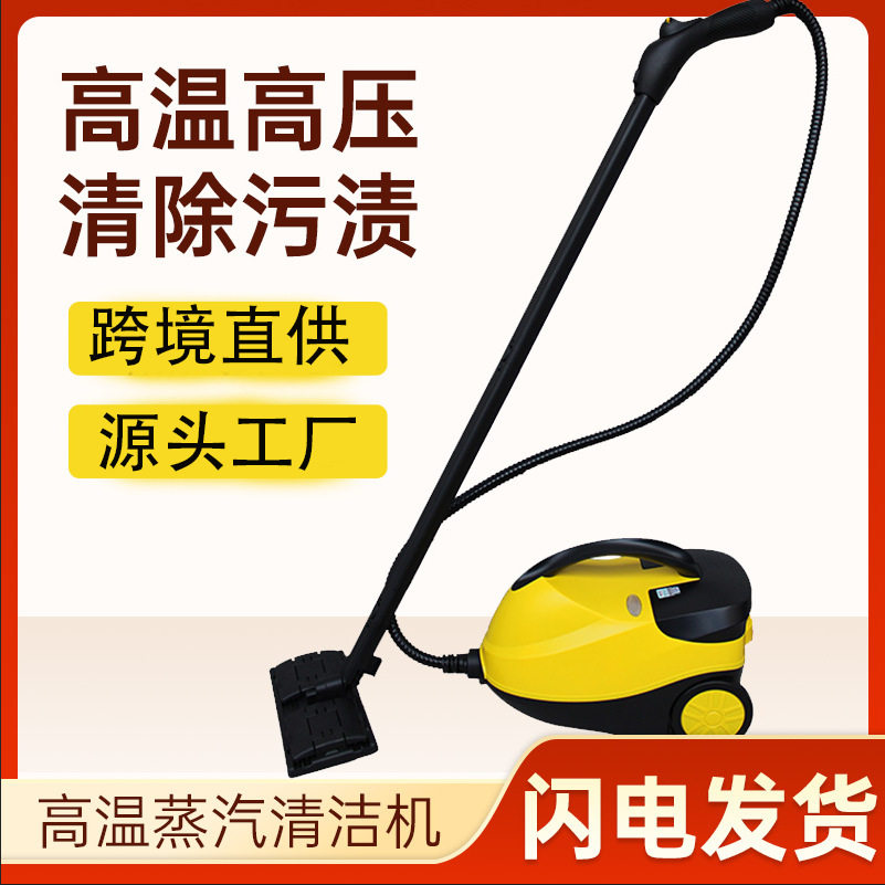 高温蒸汽机清洁熏蒸机高压清洗机家用甲醛厨房家电汽车衣改色110V