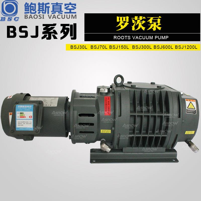 鲍斯罗茨增压真空泵BSJ30LBSJ100Z小型罗茨泵用于实验室高真空