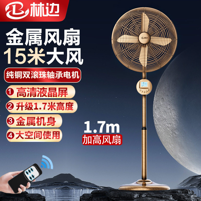 林边落地扇金属扇家用强力落地式电风扇遥控复古商务扇餐厅商务扇