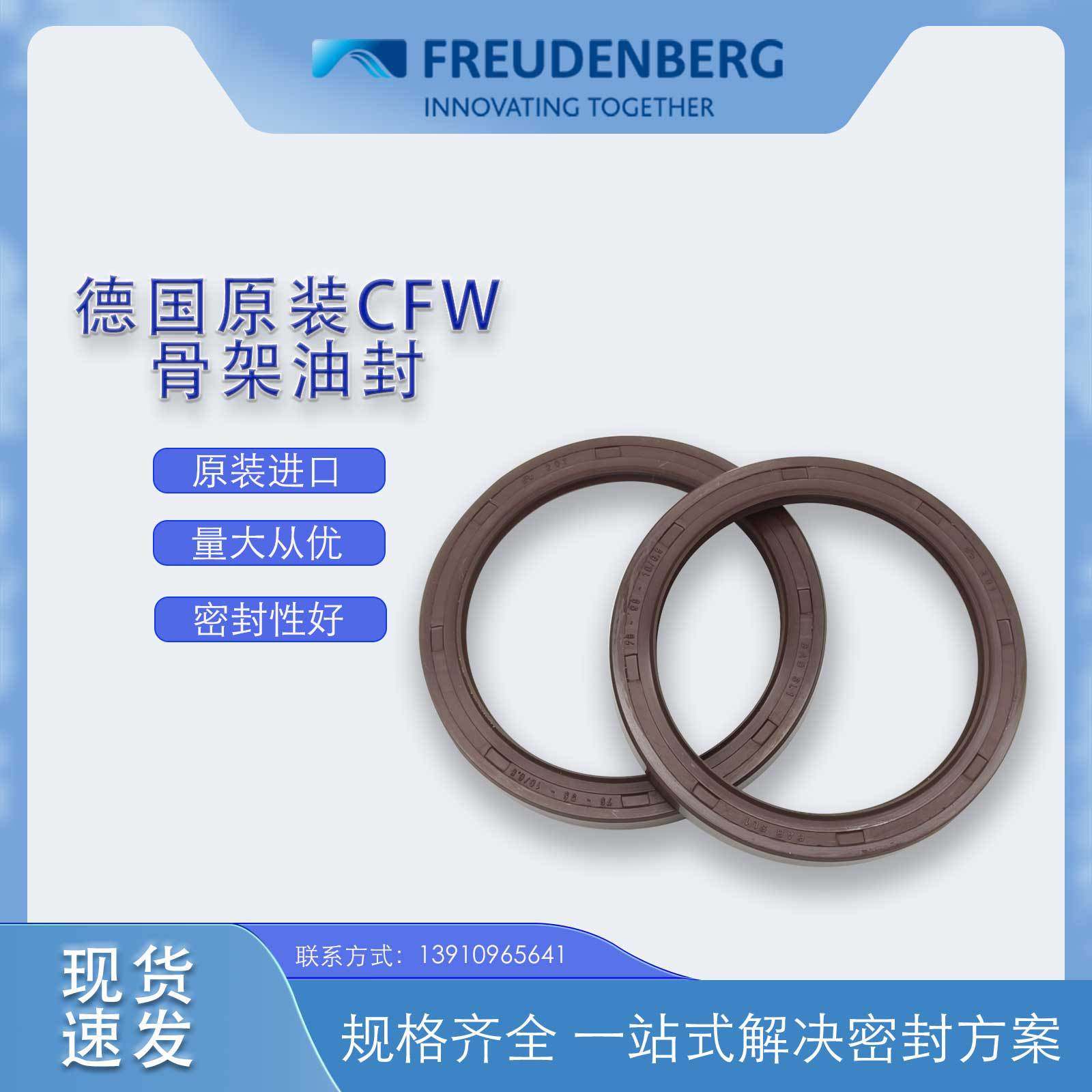 德国CFW原装BABSL1尺寸75*95*10/6.5骨架油封密封件氟胶耐磨现货