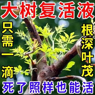 死树复活液大树生根药水再生激活营养液树木死苗S烂根剂枯树复活