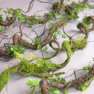仿真苔藓树藤枯藤森系假叶藤x条青苔大藤垂挂树枝婚庆造景装饰摆