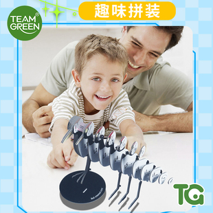 TEAMGREEN立体3d鸳鸯纸拼鸳鸯纸拼拼图摆件礼物2025年新款玩具