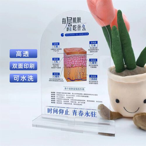 皮肤管理美妆店摆件门店s摆件护肤知识摆件皮肤层级吃什么分层抗