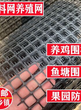养鸡围栏养殖格栅防护菜园拦鸟户外隔离漏粪N鱼塘黑色塑料网格小