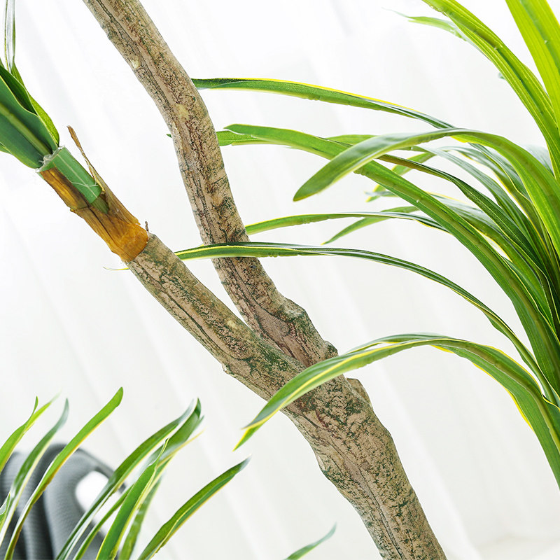 仿真千年a铁肉类植物假树室内橱窗龙血树装饰办公室落地家居绿植,鲜花速递/花卉仿真/绿植园艺,仿真绿植,淘宝优惠券,粉丝福利购,淘宝优惠卷