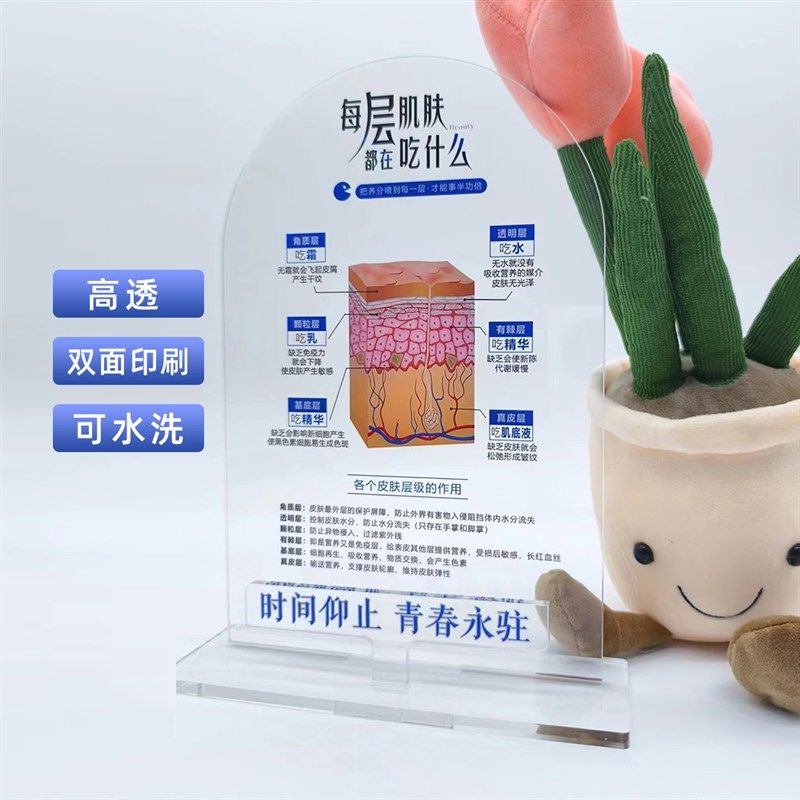 皮肤层级吃什么i水乳霜皮肤管理美妆店摆件门店摆件护肤知识摆件,家居饰品,桌面摆件,淘宝优惠券,粉丝福利购,淘宝优惠卷