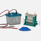 供双垂直电泳仪 25D库号：M406900 DYCZ 型号 BL61