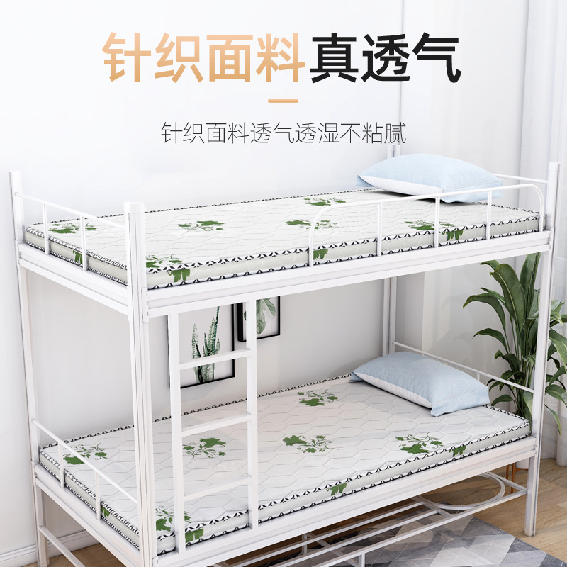 批发透气乳胶软床垫3E椰棕学生床垫酒店民宿单人1.2/1.5护脊棕垫