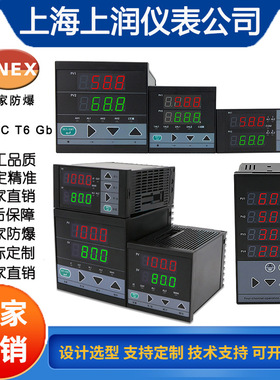 HR-WP-AC-XC901-00-0-300V-T交流电压表单相数显测量显示仪表