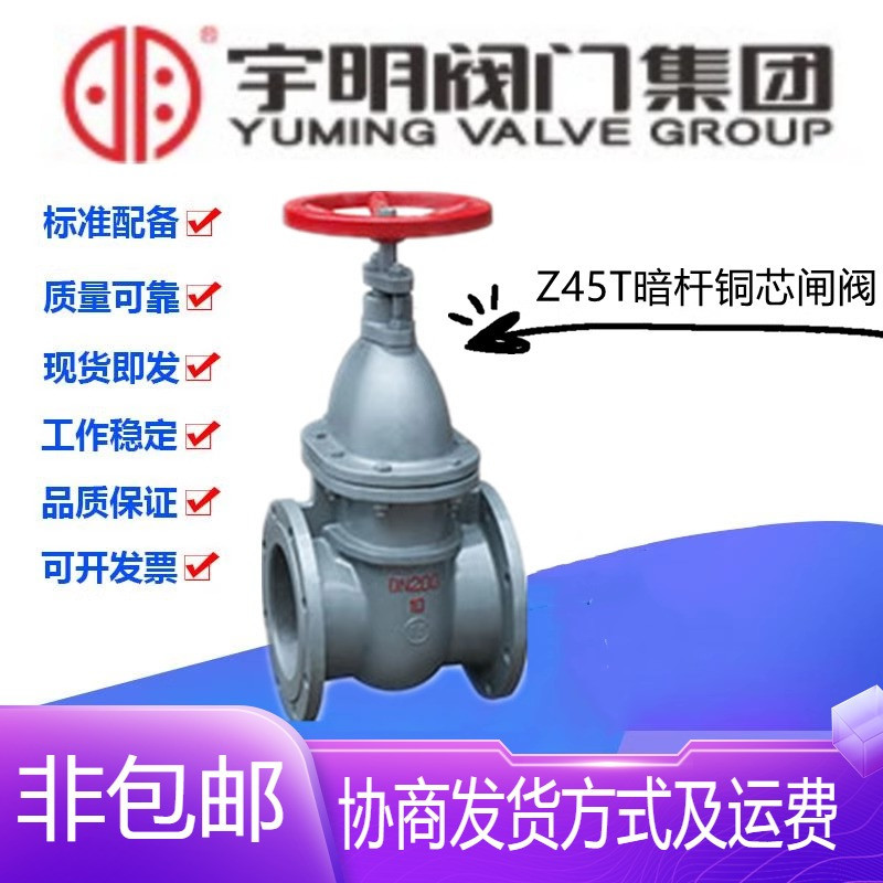 宇明阀门集团Z45T-10/16铸铁法兰暗杆铜芯闸阀DN40-300排污闸门