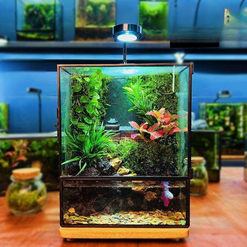 2025年新款创意造景雨林缸生态流水养鱼微景观桌面摆件鱼缸小型∑