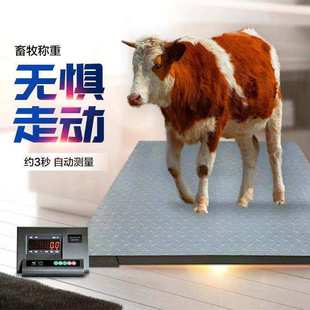 3吨平台工业小型电子地磅称 上海耀华地磅秤称猪秤牛秤羊防抖动1