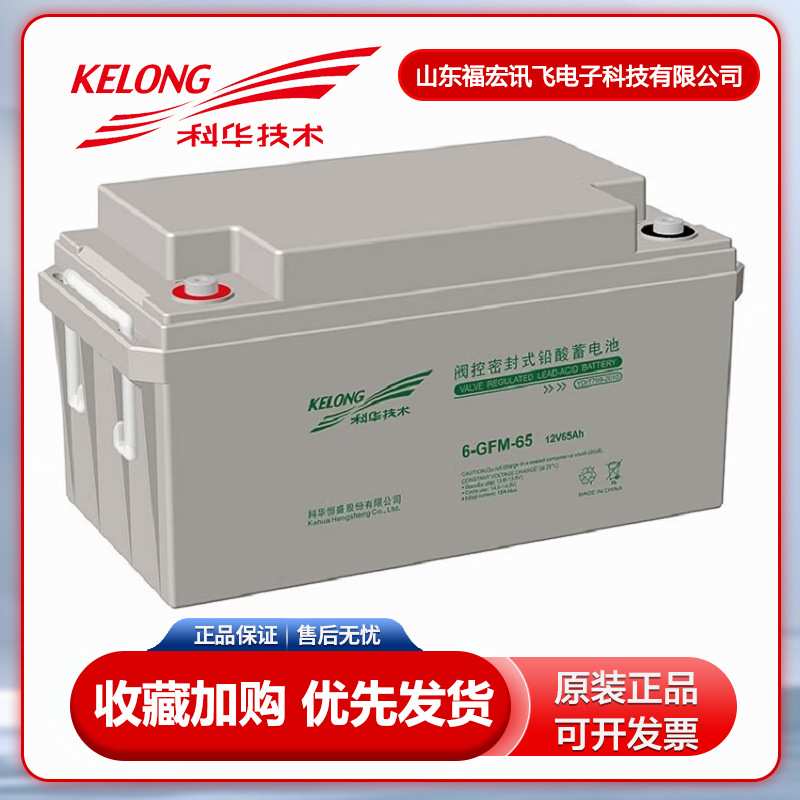 科华蓄电池6GFM-100铅酸免维护12V100AH直流屏UPS电源65AH储能