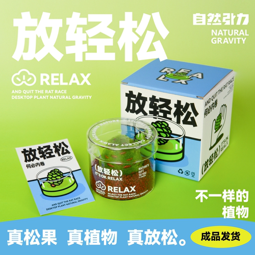 放轻松桌面创意绿植送人小众礼物