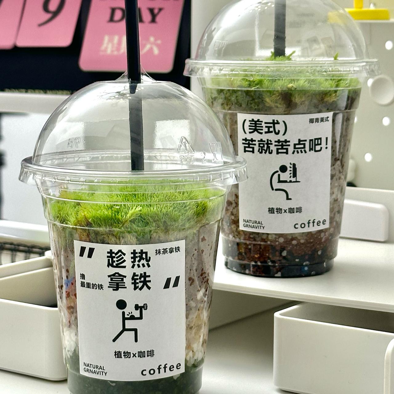 自然引力 -自制美式拿铁植物咖啡鲜活苔藓微景观DIY植物送人礼品