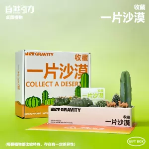 [自然引力-一片沙漠 仙人掌组合办公桌面室内懒人趣味绿植礼盒包装]