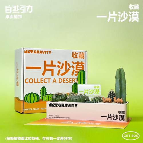 仙人掌组合懒人趣味绿植礼盒包装