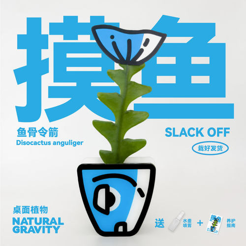 自然引力摸鱼鱼骨令箭桌面绿植