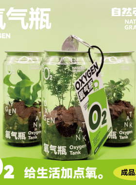 自然引力-氧气瓶 植物盆栽桌面绿植净化空气迷你盆栽礼物