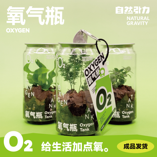 打工人的桌面氧气瓶净化空气