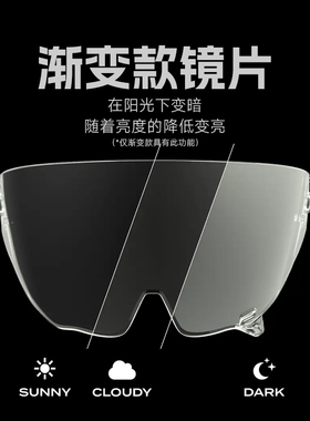 官方Ruroc鲁洛头盔护目镜风镜EOX原装正品镜片光致变色罗宁