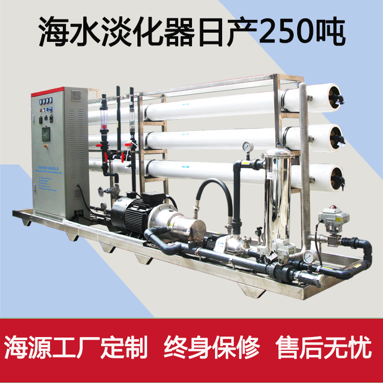 陆地海水淡化设备海岛工厂净化水处理电渗析纯水除盐过滤器小型