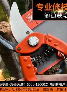 瑞典百固P110-23-F修剪树枝剪粗枝果树修枝剪园艺剪刀剪花枝剪刀