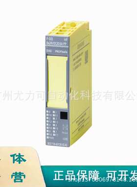 6ES7136-6DC00-0CA0  电子模块