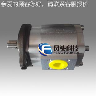 德国CKERLE艾可勒EEIPS2-02RB04-GNK12S111齿轮泵系液压5统伺服泵