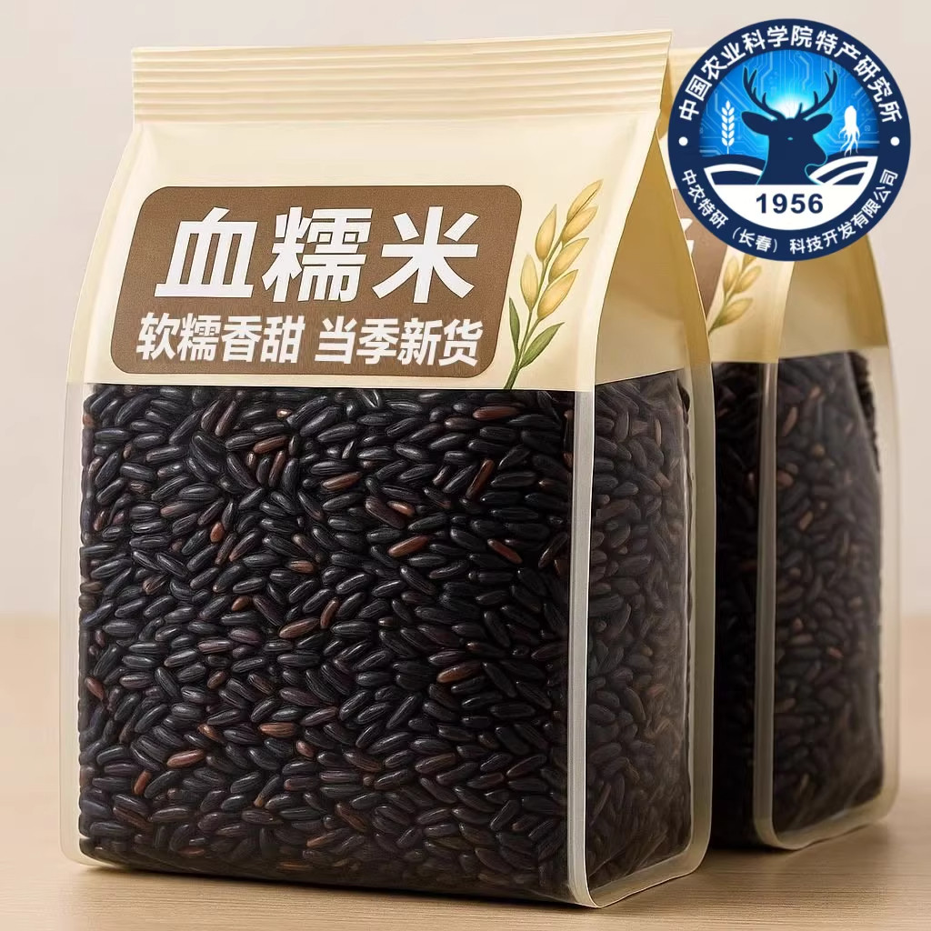 正宗东北黑龙江血糯米官方旗舰店包粽子有机新米黑米紫米五谷杂粮