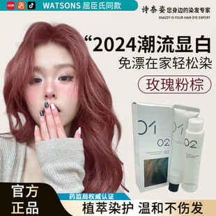 玫瑰粉棕染发膏剂2024流行显白树莓红纯女植物正品自己在家免漂染