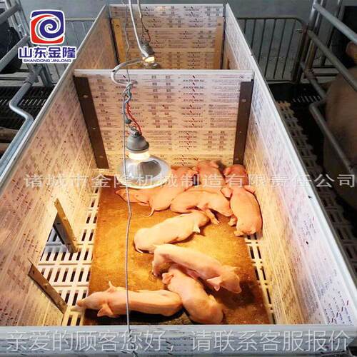 猪设备猪场饮WFR用水净设化处备母猪产床生产厂家定位栏污水理养