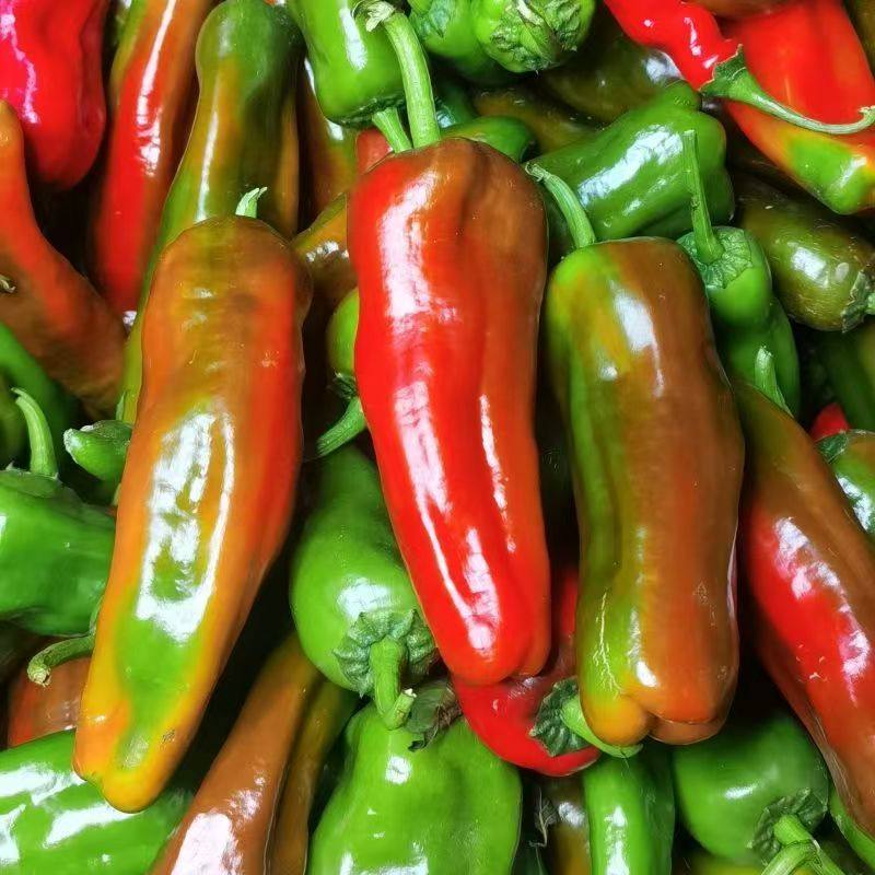 农家自种辣椒新鲜花辣椒红辣椒虎皮青椒黄紫椒炒菜现摘肉厚花辣椒,水产肉类/新鲜蔬果/熟食,辣椒,淘宝优惠券,粉丝福利购,淘宝优惠卷