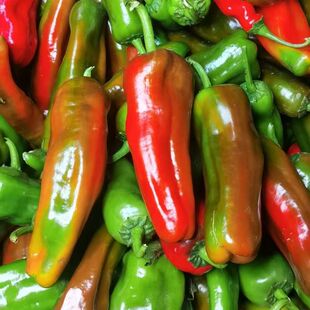 农家自种辣椒新鲜花辣椒红辣椒虎皮青椒黄紫椒炒菜现摘肉厚花辣椒