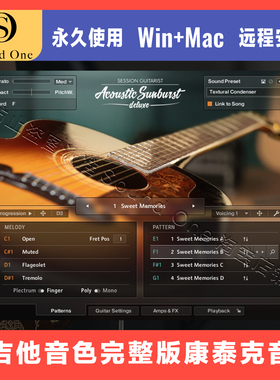 Session Guitarist Acoustic Sunburst Deluxe 原声木吉他音色库