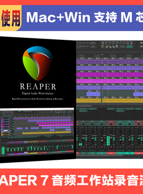新版 Reaper 7 中文音频工作站 有声书对轨 混音录音编曲直播机架