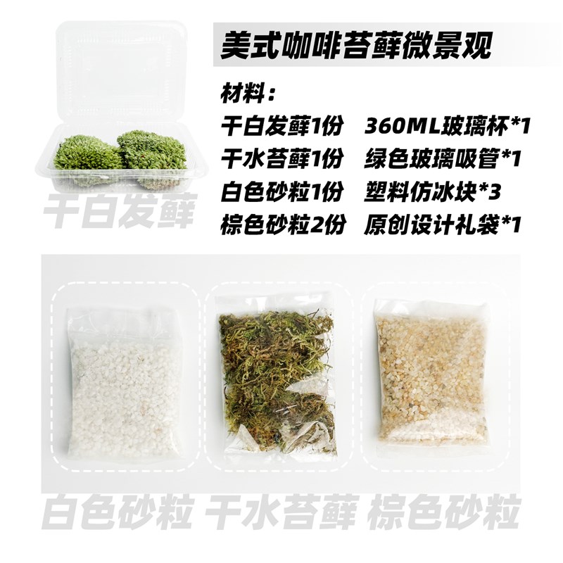 美式咖啡鲜活苔藓k微景观办公室桌面绿植摆件DIY小盆栽送朋友礼物