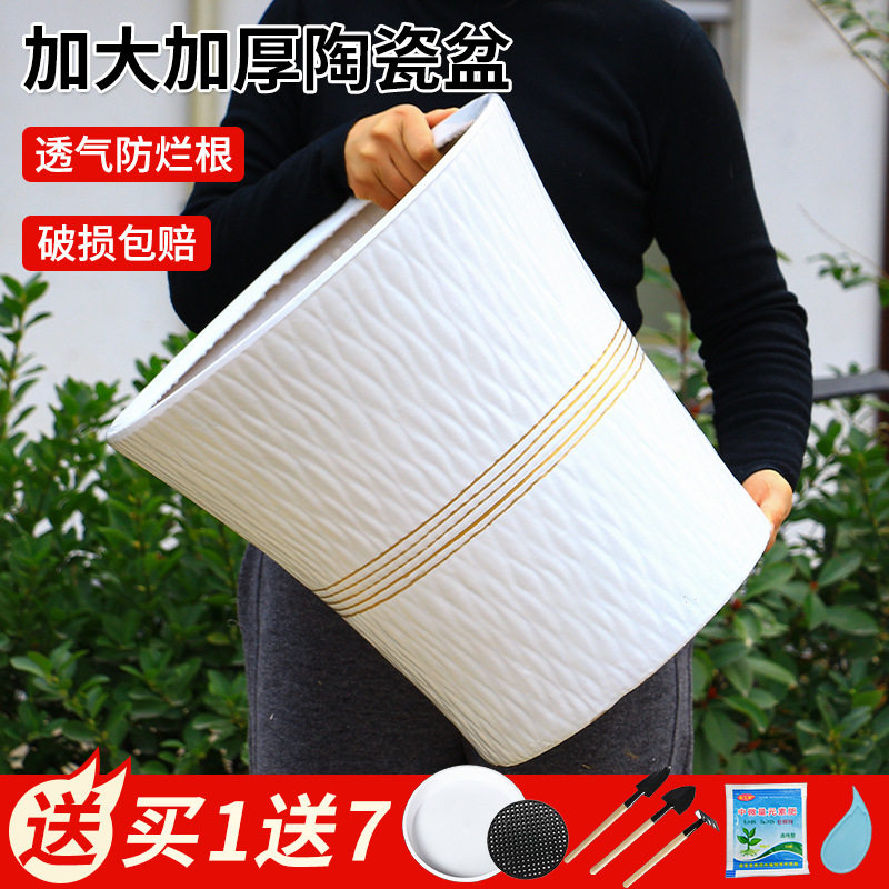 陶瓷花盆大口径高颜值特带托盘简约白色客厅落地盆栽加厚绿植盆栽