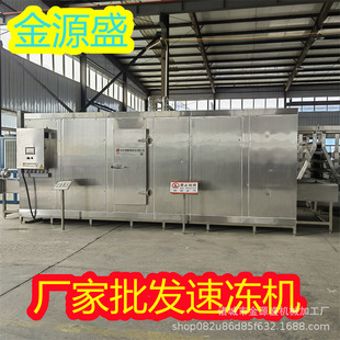 全自动速冻机厂家氟利昂速冻机海水饺带鱼元宵薯条速冻加工生产线